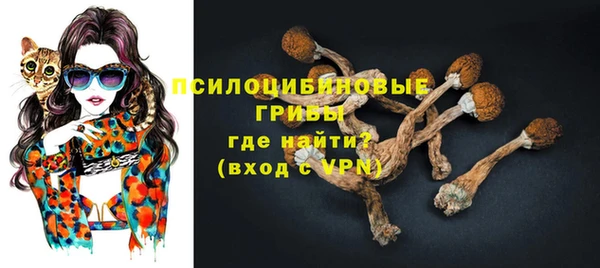 прущая мука Михайлов